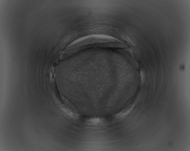 X0000089660237200707191655