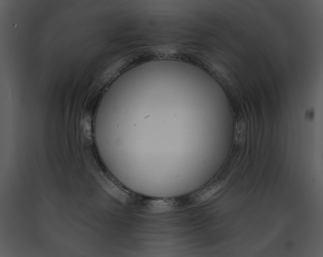 X0000089660238200707191655