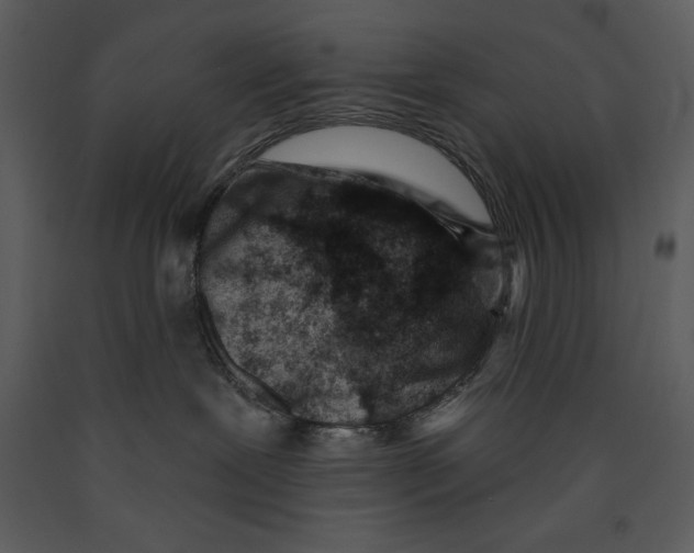 X0000089660239200707191655