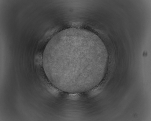 X0000089660240200707191655