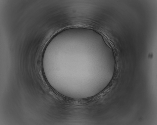 X0000089660241200707191655