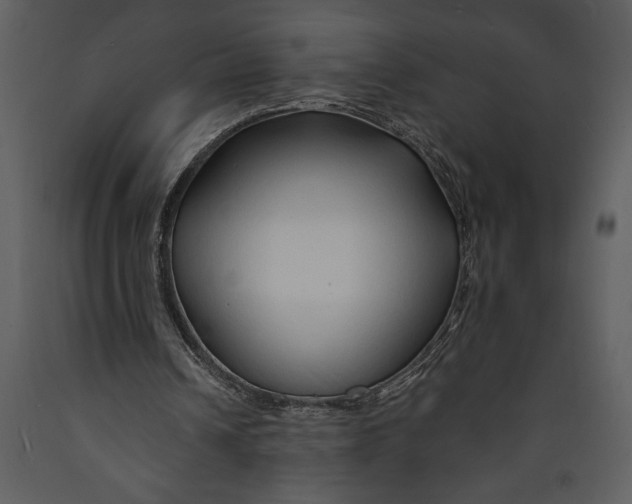 X0000089660242200707191655