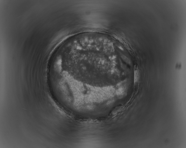 X0000089660243200707191655