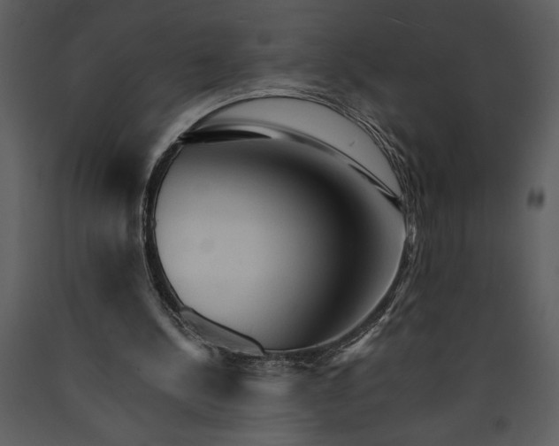 X0000089660244200707191655
