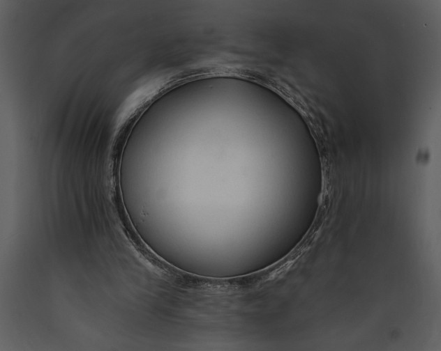 X0000089660245200707191655