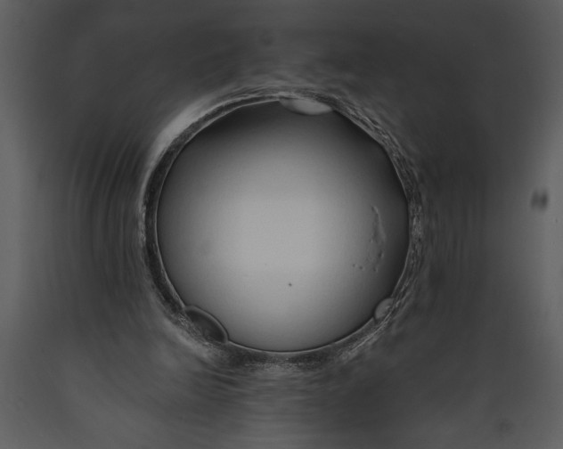 X0000089660246200707191655