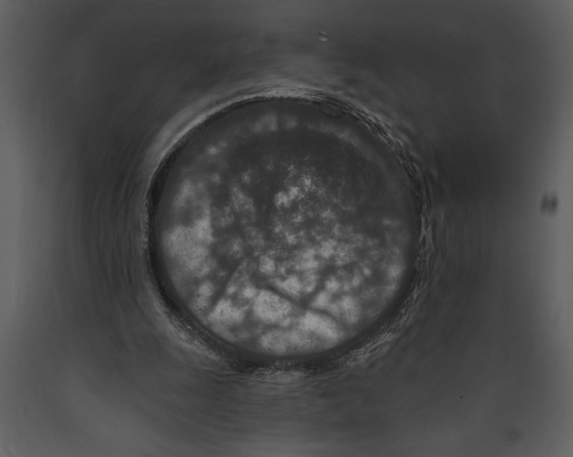 X0000089660247200707191655