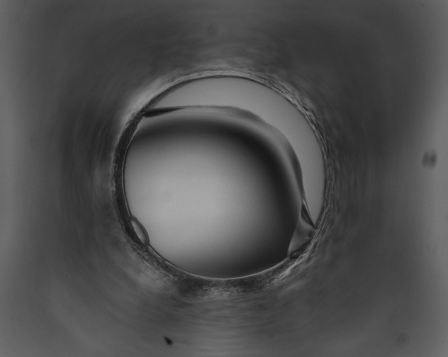 X0000089660248200707191655