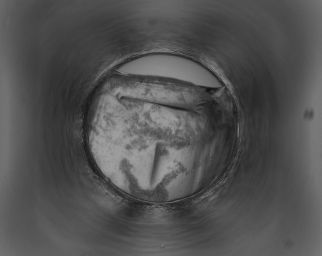 X0000089660249200707191655