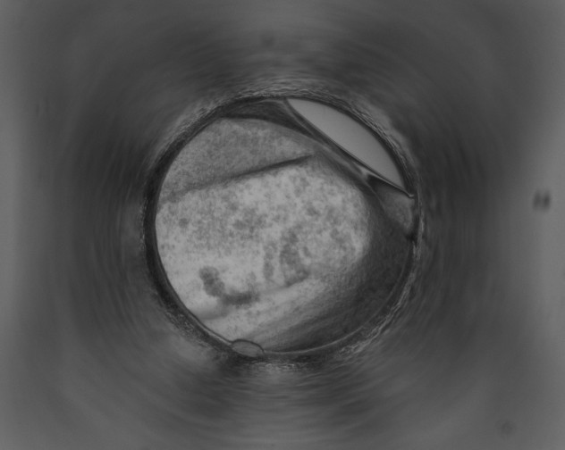 X0000089660250200707191655
