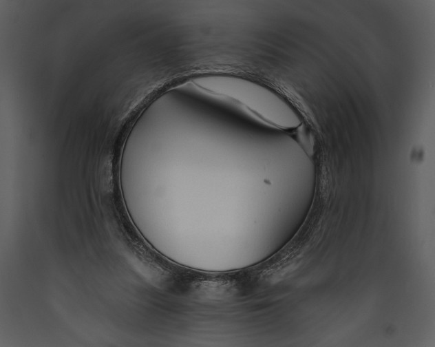 X0000089660251200707191655