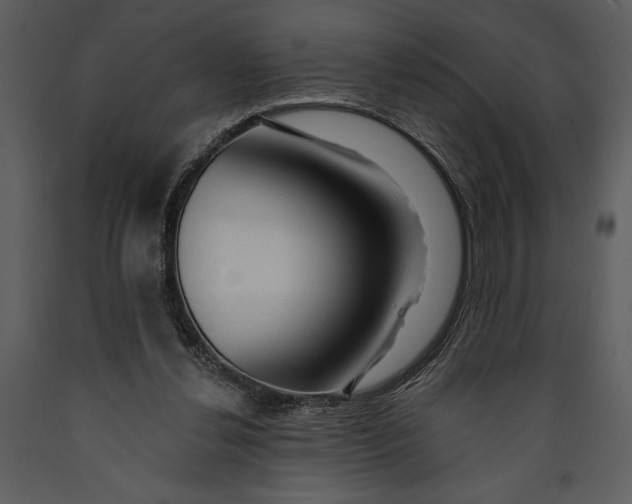 X0000089660252200707191655