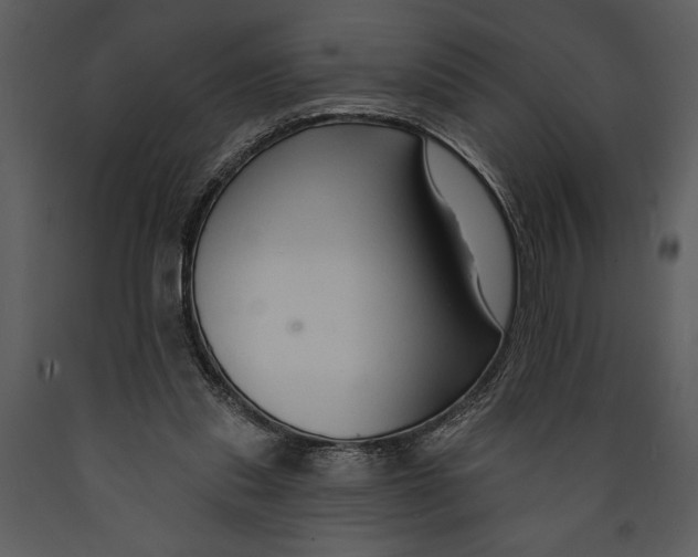 X0000089660253200707191655
