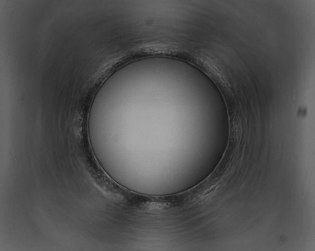 X0000089660255200707191655