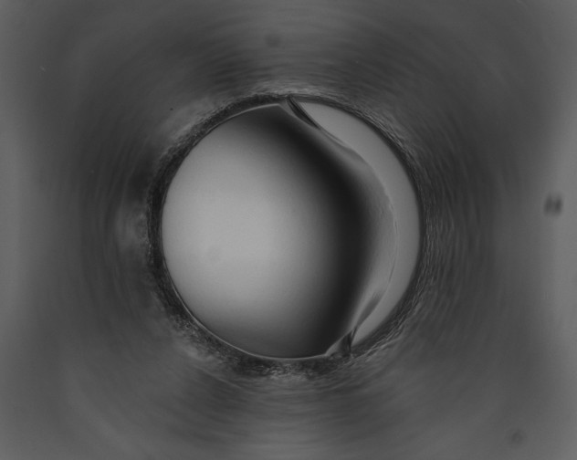 X0000089660256200707191655