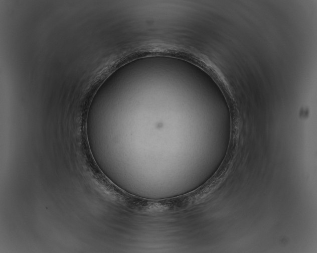 X0000089660257200707191655