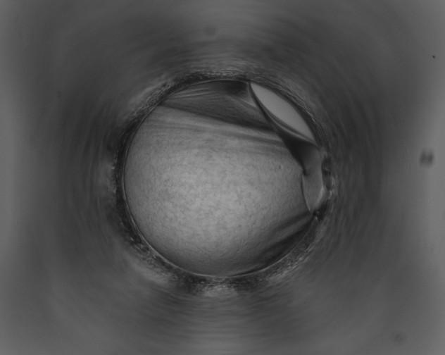 X0000089660258200707191655