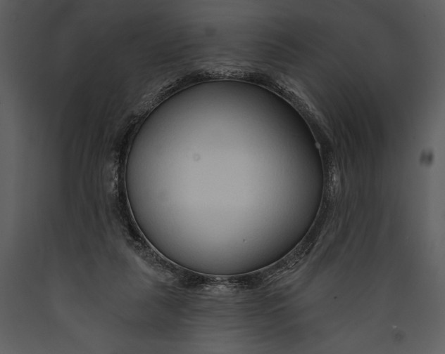 X0000089660259200707191655