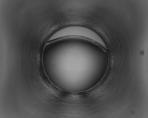 X0000089660260200707191655