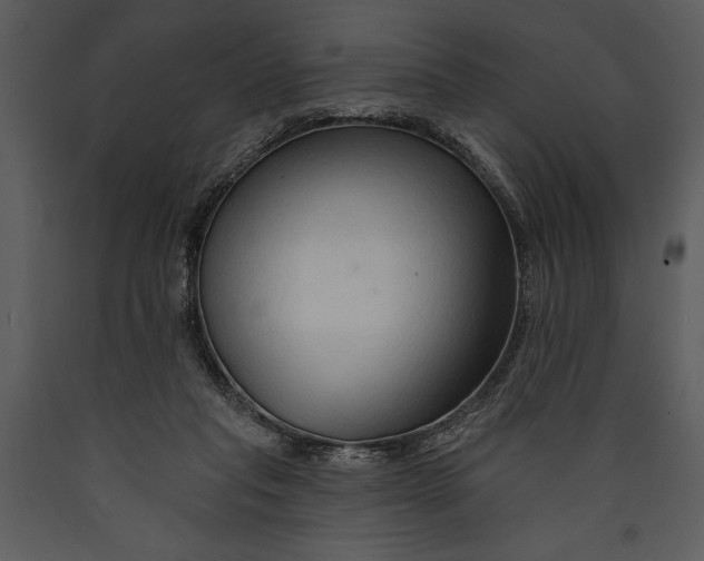 X0000089660261200707191655