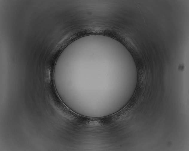 X0000089660262200707191655