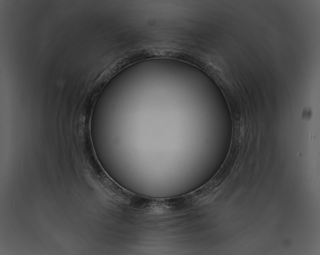X0000089660263200707191655