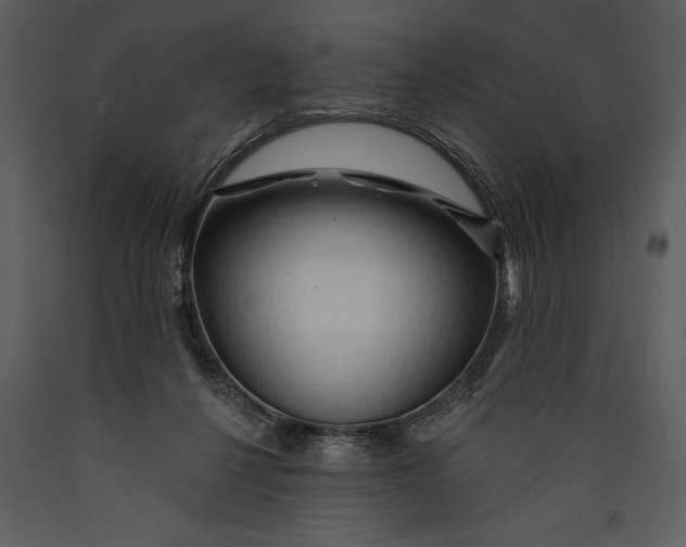 X0000089660264200707191655