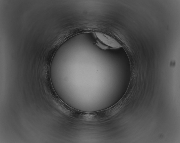 X0000089660265200707191655