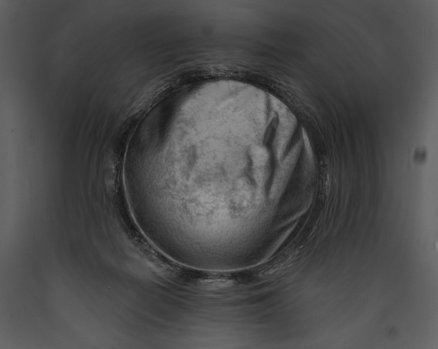 X0000089660266200707191655