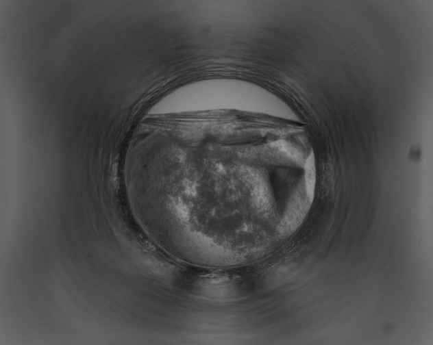 X0000089660267200707191655
