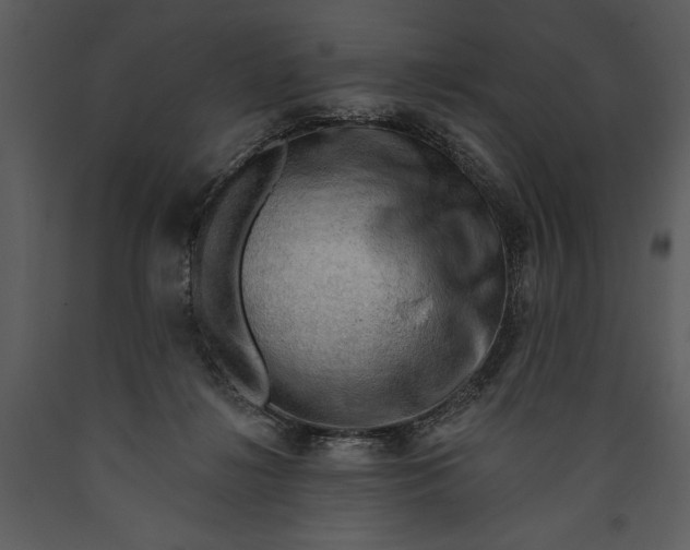 X0000089660268200707191655