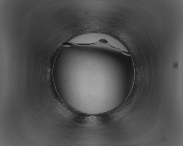 X0000089660269200707191655