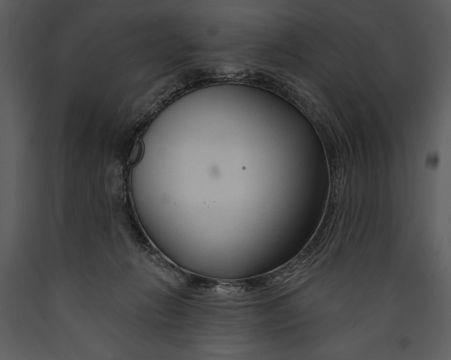 X0000089660270200707191655