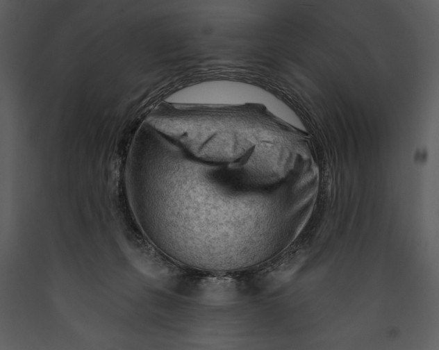 X0000089660271200707191655