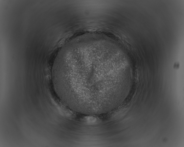 X0000089660272200707191655