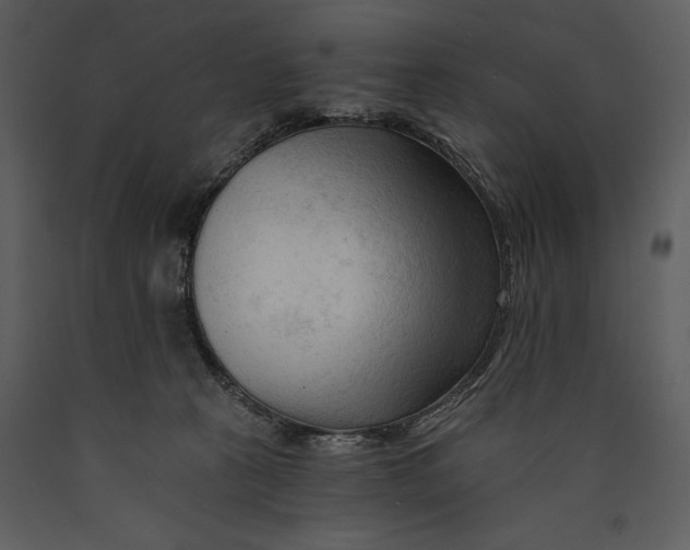X0000089660273200707191655