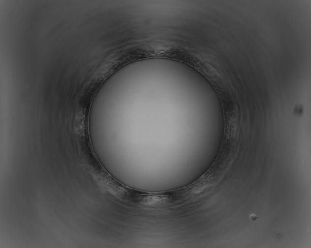 X0000089660274200707191655