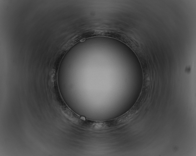 X0000089660275200707191655