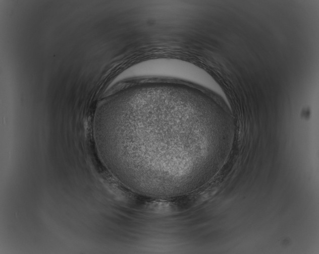 X0000089660276200707191655