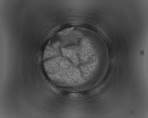 X0000089660277200707191655