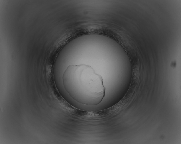 X0000089660278200707191655