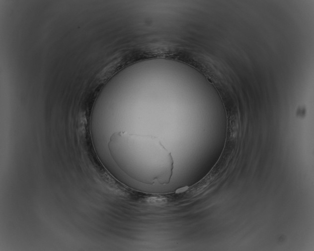X0000089660279200707191655