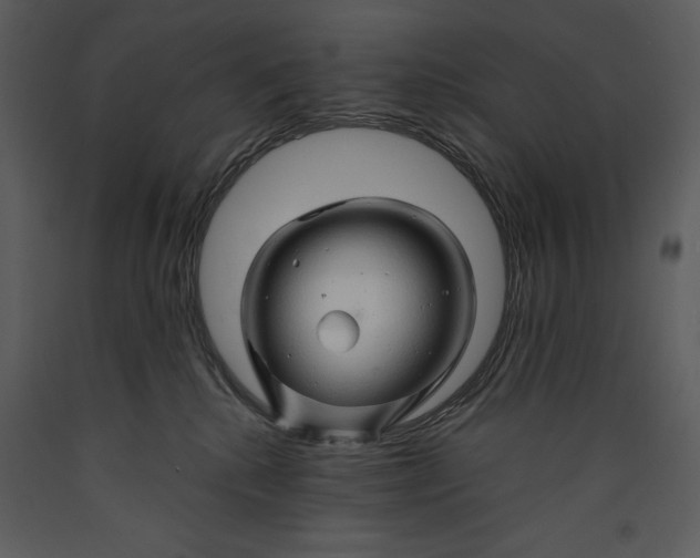 X0000089660280200707191655