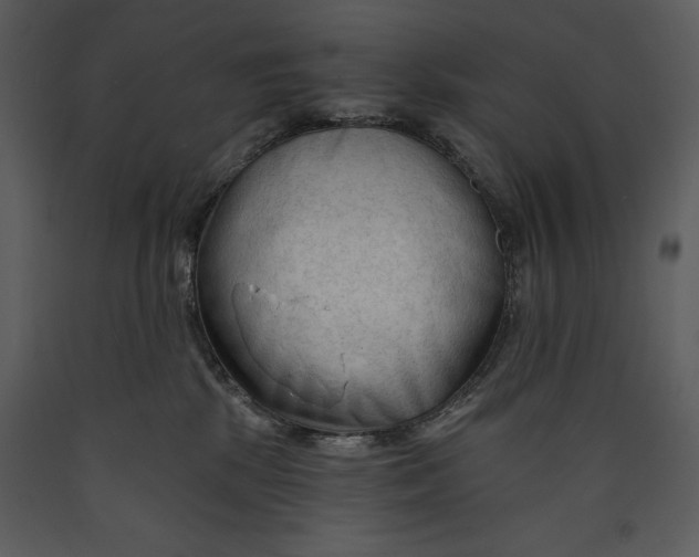X0000089660281200707191655
