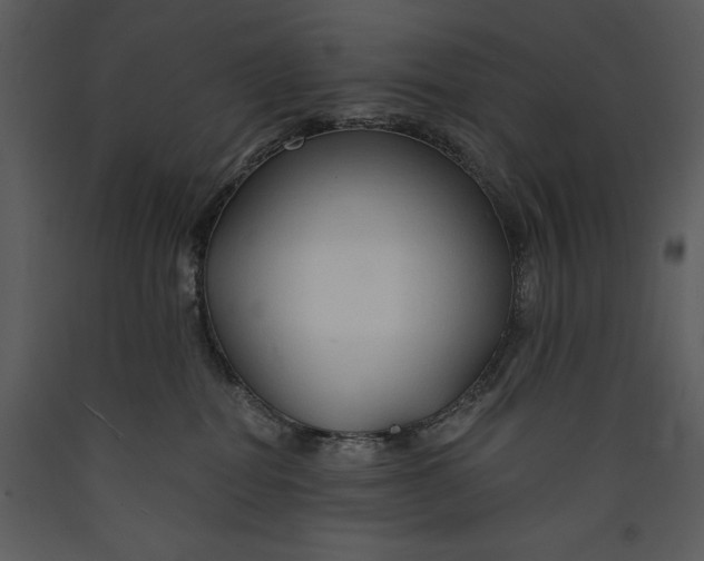 X0000089660282200707191655