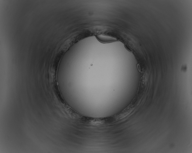 X0000089660283200707191655
