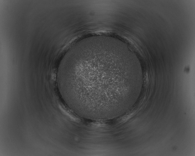 X0000089660284200707191655