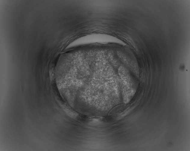 X0000089660285200707191655