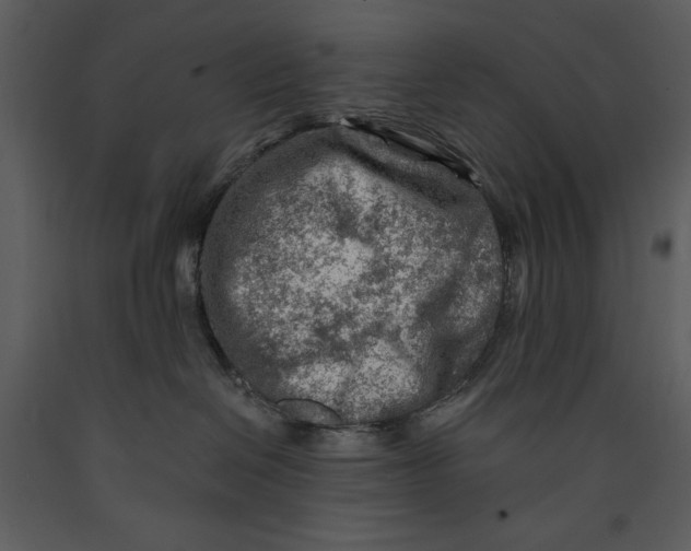 X0000089660286200707191655