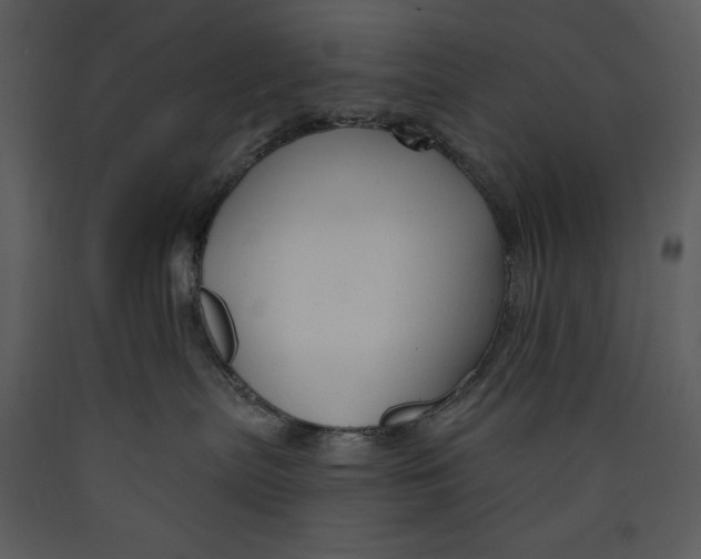 X0000089660287200707191655